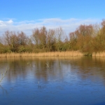FLEVOLANDSCHAP FLEVOLANDSCHAP