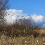 FLEVOLANDSCHAP FLEVOLANDSCHAP