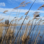 EEMMEER EEMMEER