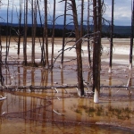 YELLOWSTONE YELLOWSTONE