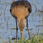 GRUTTO GRUTTO