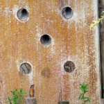 IJSVOGEL BIJ BROEDWAND IJSVOGEL BIJ BROEDWAND