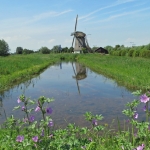 MOLEN BIJ NAARDERMEER MOLEN BIJ NAARDERMEER