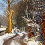 WINTERLANDSCHAP WINTERLANDSCHAP