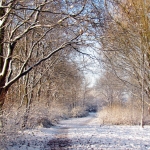 WINTERLANDSCHAP WINTERLANDSCHAP