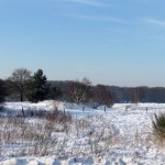 WINTERLANDSCHAP WINTERLANDSCHAP
