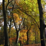 HERSFTLANDSCHAP HERSFTLANDSCHAP