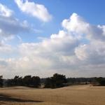 SOESTERDUINEN SOESTERDUINEN