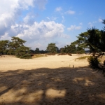 SOESTERDUINEN SOESTERDUINEN