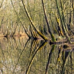 NAARDERMEER NAARDERMEER