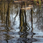NAARDERMEER NAARDERMEER