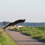 OPVLIEGENDE REIGER OPVLIEGENDE REIGER