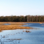 LAARDER WASMEER LAARDER WASMEER