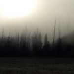 Yellowstone Yellowstone