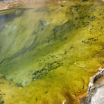 Yellowstone Yellowstone