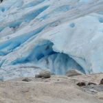 Nigårdsbreen (gletsjer) Nigårdsbreen (gletsjer)