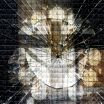 ecce homo ecce homo