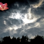 Herfst Herfst