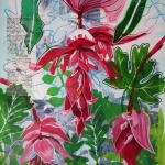Mijn Tuin 12 Mijn Tuin 12