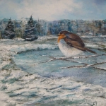 Roodborst in de winter Roodborst in de winter