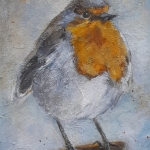 De wijze roodborst De wijze roodborst