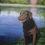 Labrador bij de waterkant Labrador bij de waterkant