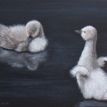 2 kleine zwaantjes 2 kleine zwaantjes