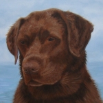 Labrador Labrador