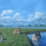 3 Tervuerense herders 3 Tervuerense herders
