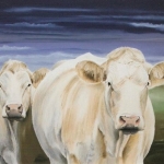 Des vaches en Thiérache Des vaches en Thiérache