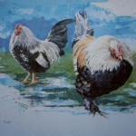 Animal world 1 Animal world 1