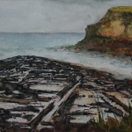 The Catlins - Petrified Forest The Catlins - Petrified Forest