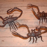 the scorpions the scorpions