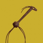 antilope antilope