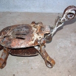 landschildpad landschildpad