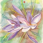 Bloemen Bloemen
