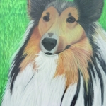 Hond Hond
