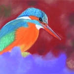 IJsvogel IJsvogel