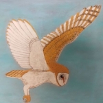 Uil Uil