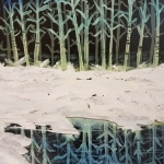weerspiegeling weerspiegeling