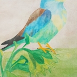 Bluebird Bluebird