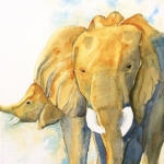 Olifant Olifant