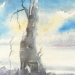Winter Winter