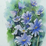 Anemone Anemone