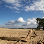 kootwijkerzand kootwijkerzand
