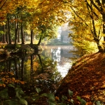 herfst 1 herfst 1