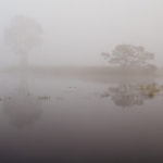 mist 2 mist 2