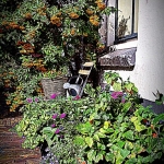 bloemmetjes bloemmetjes