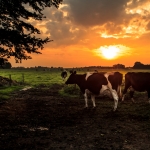 zonsondergang 2 zonsondergang 2