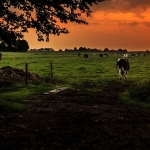 zonsondergang 3 zonsondergang 3